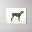 Suche nach doggen kunst Seitenansicht