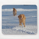 Suche nach läufer mousepads Lauf