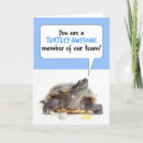 Suche nach reptilien karten Schildkröte