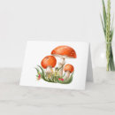 Suche nach rote pilze karten Ladybug