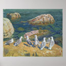 Suche nach möwe poster Vögel