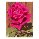 Suche nach rosa blumen poster Blumenreich