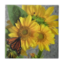 Suche nach butterfly fliesen Schmetterling