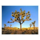 Suche nach 4x5 poster Westen