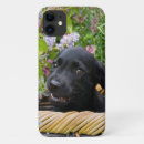 Suche nach labrador retriever iphone hüllen Niedlich