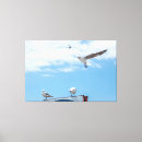 Suche nach das vogel fliegen kunst Meer