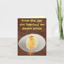 Suche nach brut karten Küken