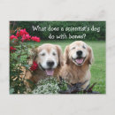 Suche nach wissenschaftliche postkarten Wissenschaftlerin