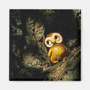 Suche nach vintage eule magnete Natur