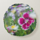 Suche nach nelke kissen Rosa blume