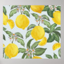 Suche nach vintage frucht poster Zitrone