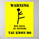 Suche nach taekwondo poster Kampfkunst