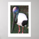 Suche nach farbfotografie Natur