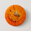 Suche nach bestäubung buttons Honigbiene
