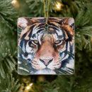 Suche nach tiger im dschungel ornamente Aquarell