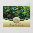 Suche nach pfau save the date postkarten Türkis