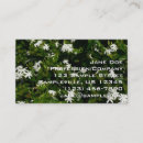 Suche nach jasmin blume visitenkarten Weiß