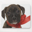 Suche nach welpe mousepads Zuhause