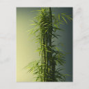 Suche nach bambus postkarten Japanisch