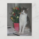 Suche nach niedliches katzenbild poster Kitty