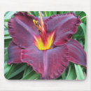 Suche nach taglilie mousepads Lila