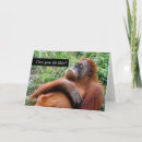 Suche nach gefährdete tiere karten Niedlich