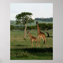 Suche nach niedliche giraffe poster Hals