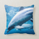 Suche nach unterwasser kissen Delphin