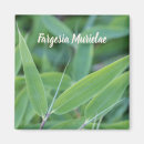 Suche nach der gärtner magnete Pflanze