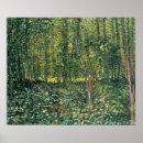 Suche nach baum poster Wald