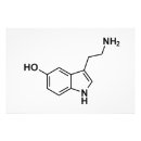 Suche nach serotonin Glücklich