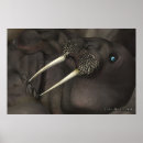 Suche nach walrus poster Ozean