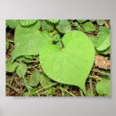Suche nach gardening poster Green