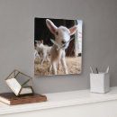 Suche nach farm animal wanduhren Sheep