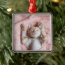 Suche nach orange metall ornamente Kätzchen