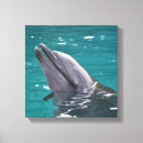 Suche nach delfin leinwandbilder Natur