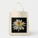 Suche nach wasser taschen Lilie