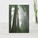 Suche nach redwood karten Baum