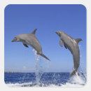 Suche nach delfin aufkleber Darstellung