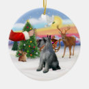 Suche nach riesenschnauzer ornamente Weihnachten