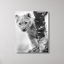 Suche nach wildkatzen leinwandbilder Natur