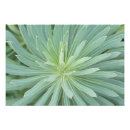 Suche nach botanicals poster Muster