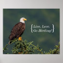 Suche nach amerikanischer adler poster Raubvögel