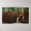 Suche nach gigant poster Staat