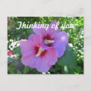 Suche nach sharon poster Natur