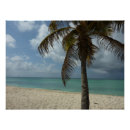 Suche nach beautiful nature poster Tropisch