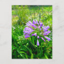 Suche nach flower power postkarten Farbenfroh