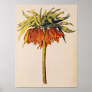 Suche nach krone poster Blumen