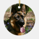 Suche nach schäferhund ornamente Foto