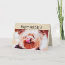 Suche nach lustige yorkie karten Yorkshire terrier